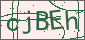 验证码